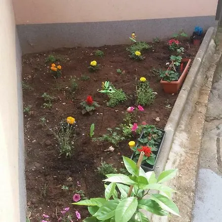 Apartment Dugi Rat
